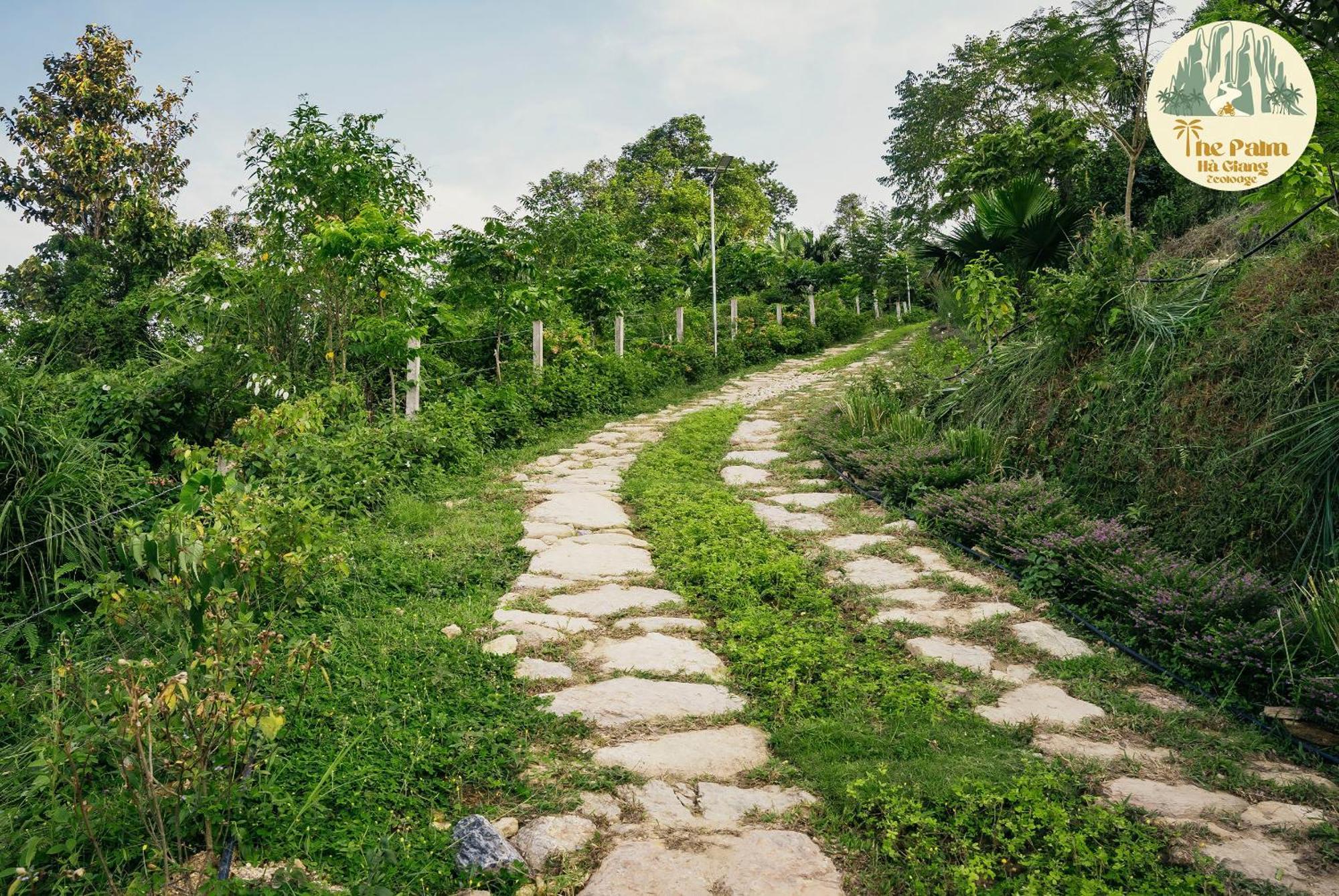Tvpalm Ecolodge Ha Giang Exterior photo