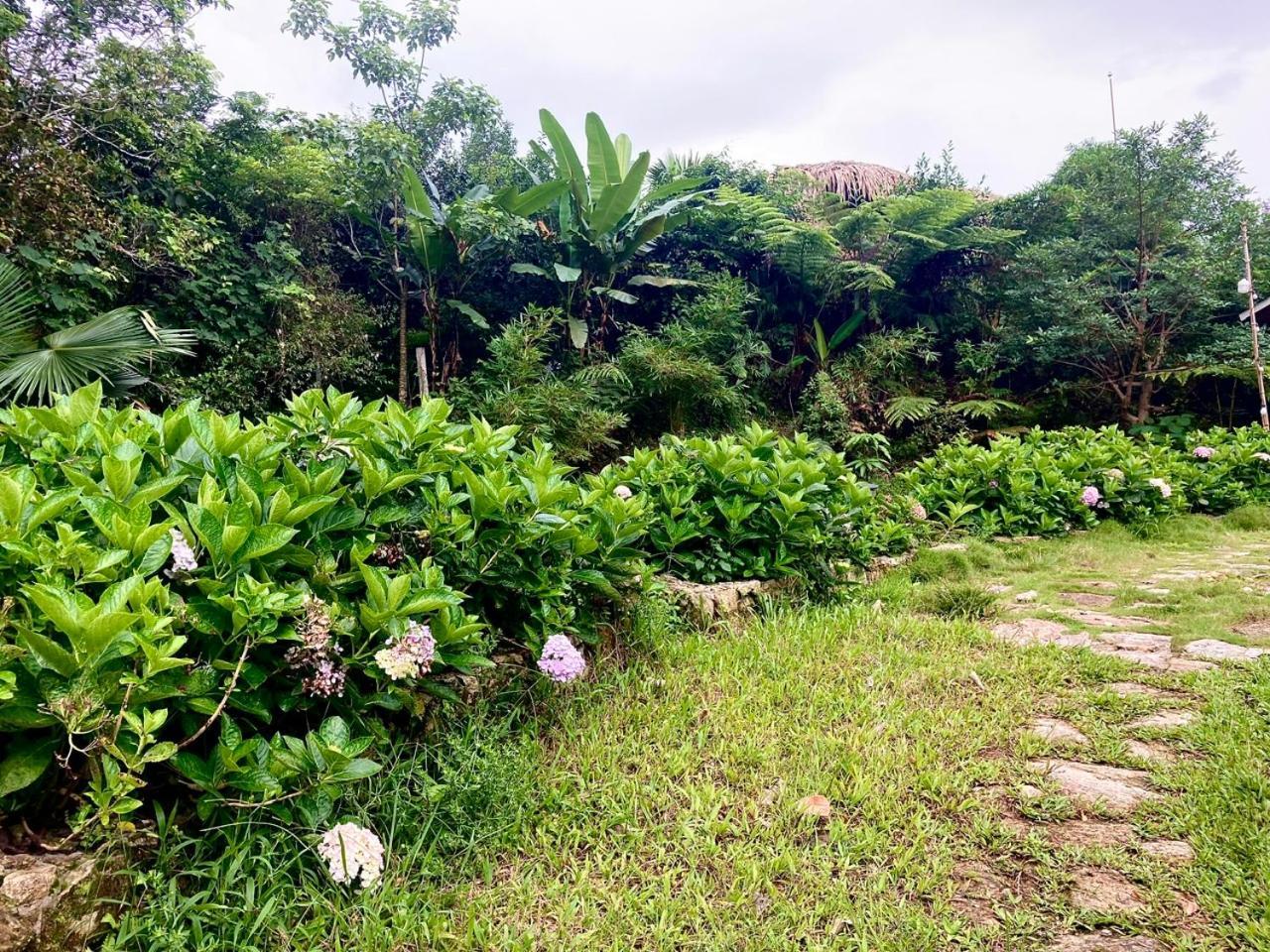 Tvpalm Ecolodge Ha Giang Exterior photo